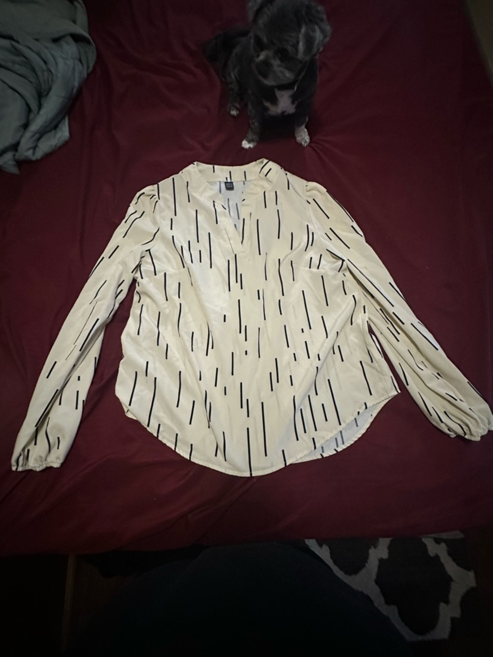 SHEIN Cream V-Neck Long-Sleeve Blouse with Black Dash Print